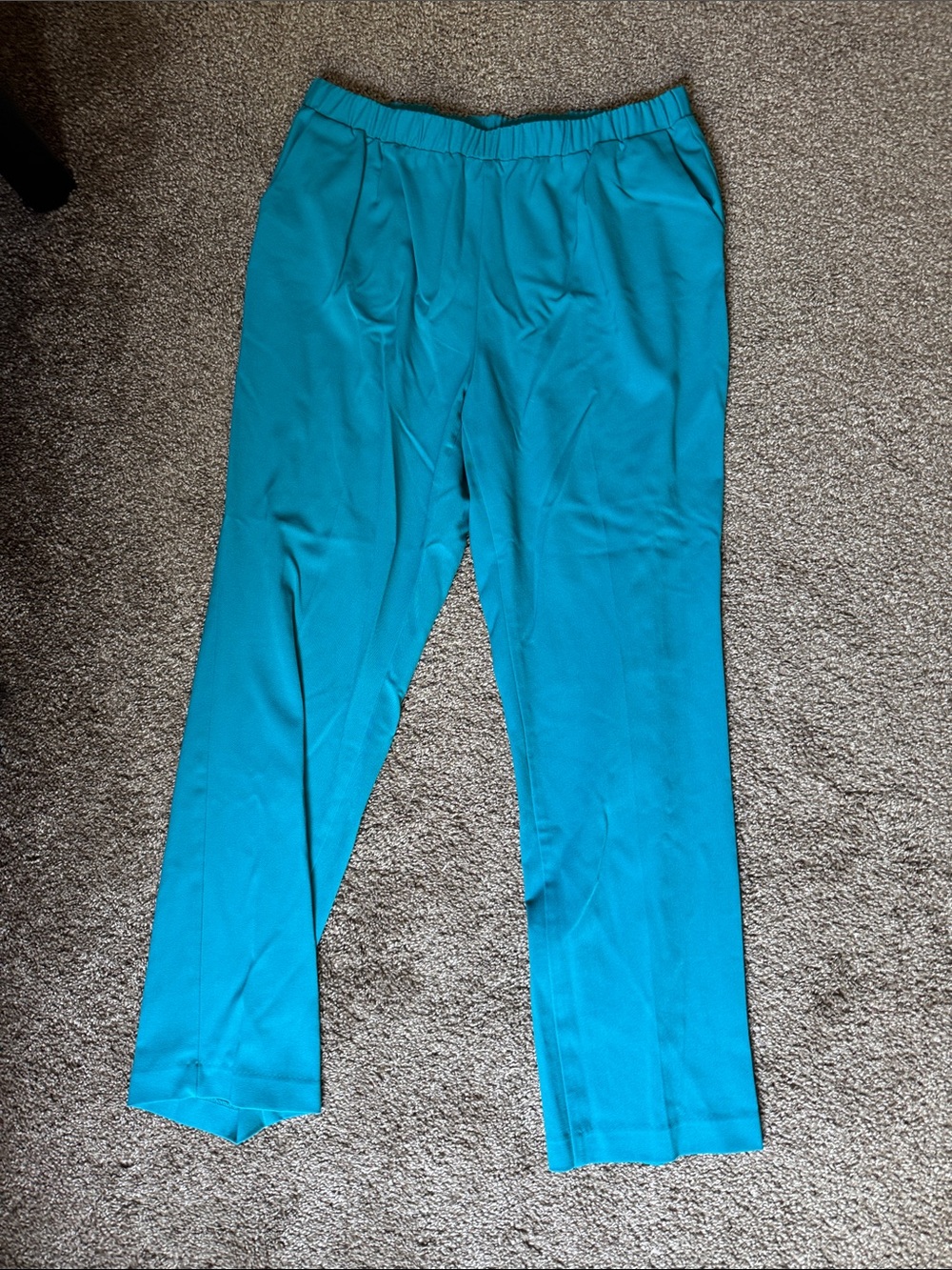 Allison Daley 16W Pants